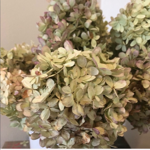 Accents Dried Hydrangea Bouquet Floral Bouquet Poshmark